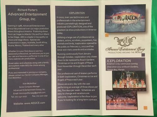 Advanced Entertainment Group