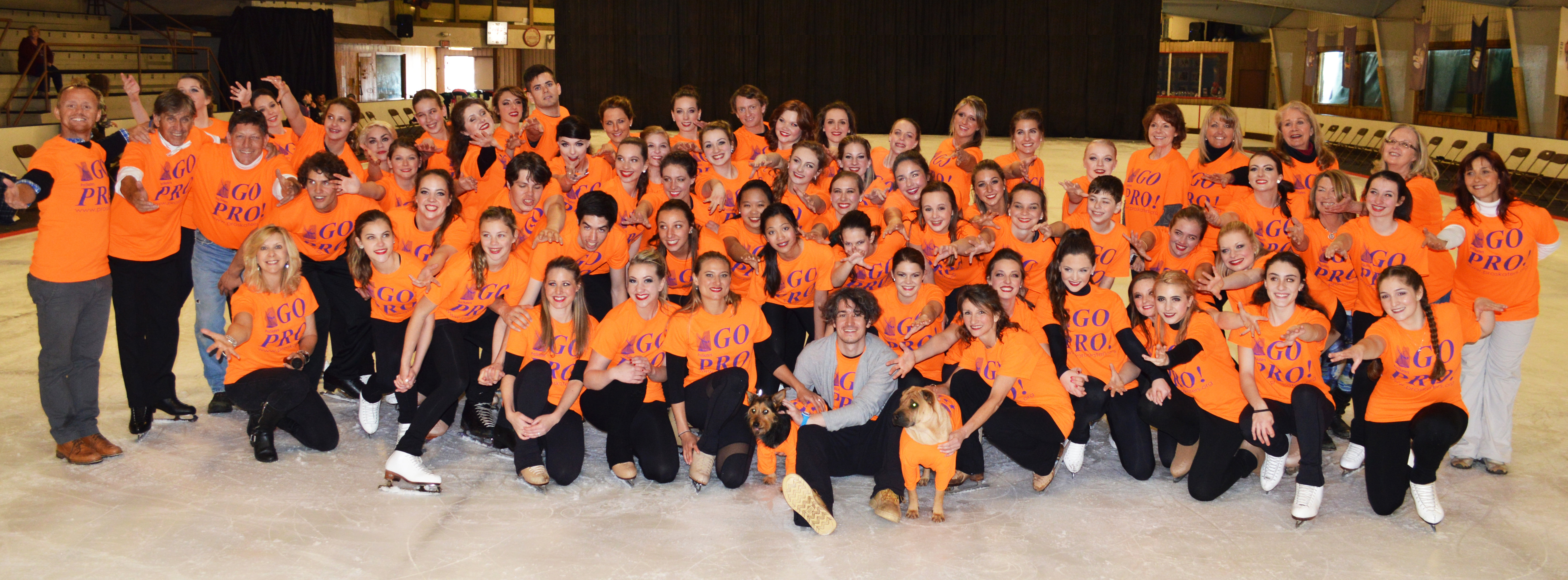 castandstaffanddogs1